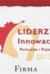 2013liderzy-innowacji-dyplombig